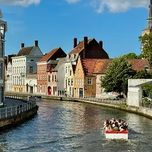 Sleeping Swan , Brugge België